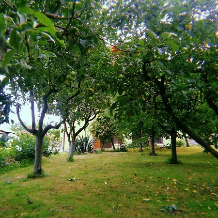 Villa The Greengarden House